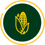 Natural Crops icono maiz